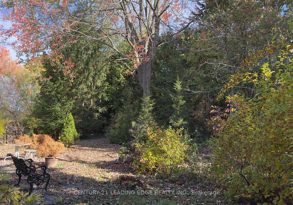 117-westwood-lane-richmond-hill-ontario-n12856034