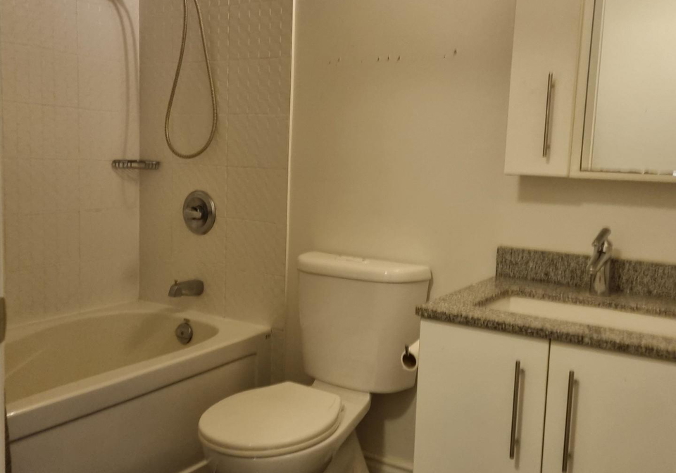 273-south-park-road-markham-ontario-n12860746