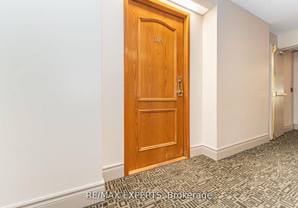 7373-martin-grove-road-vaughan-ontario-n12866178