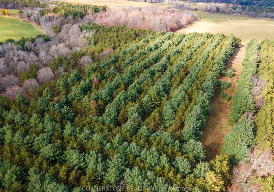 1438-2nd-concession-adjala-tosorontio-ontario-n12873046