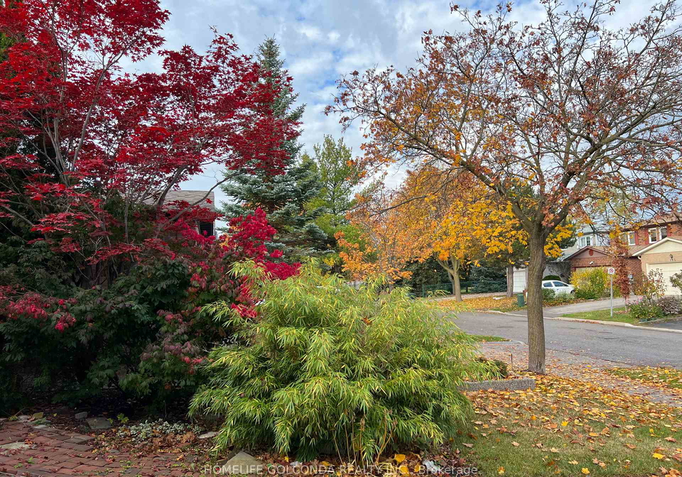 172-stephenson-crescent-richmond-hill-ontario-n12878818