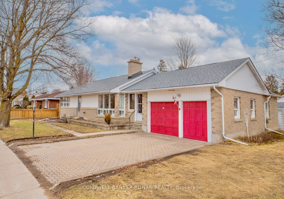 215-albert-street-w-new-tecumseth-ontario-n12881144