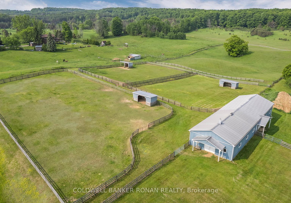 1604-concession-road-8-adjala-tosorontio-ontario-n12883024