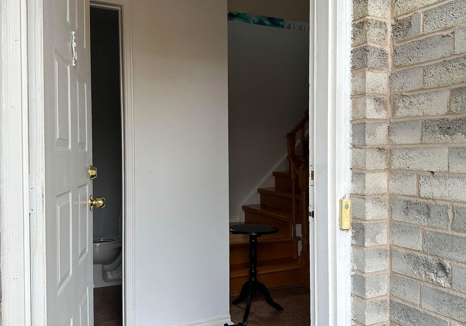 29-bingham-street-richmond-hill-ontario-n12884386