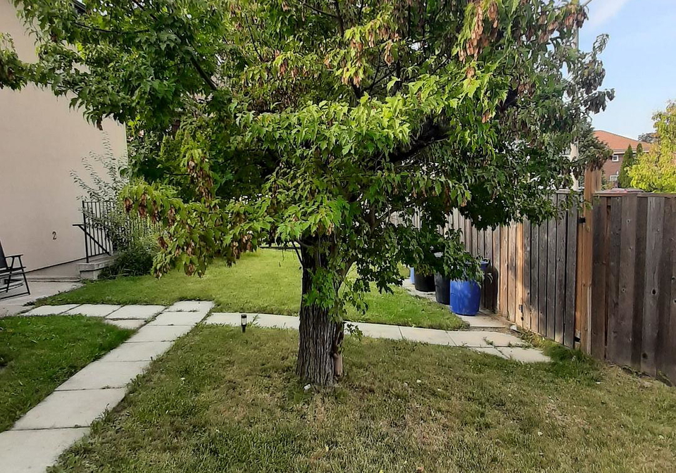 58-benjamin-drive-vaughan-ontario-n12886328