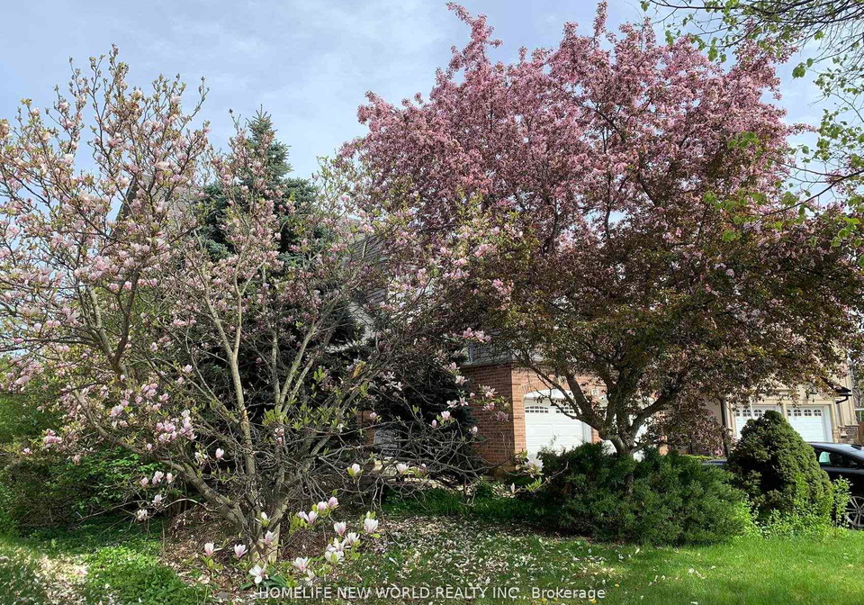 15-marylebone-crescent-richmond-hill-ontario-n12886826