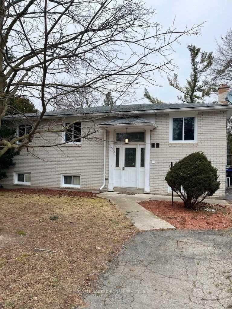 44-elm-street-new-tecumseth-ontario-n12890420