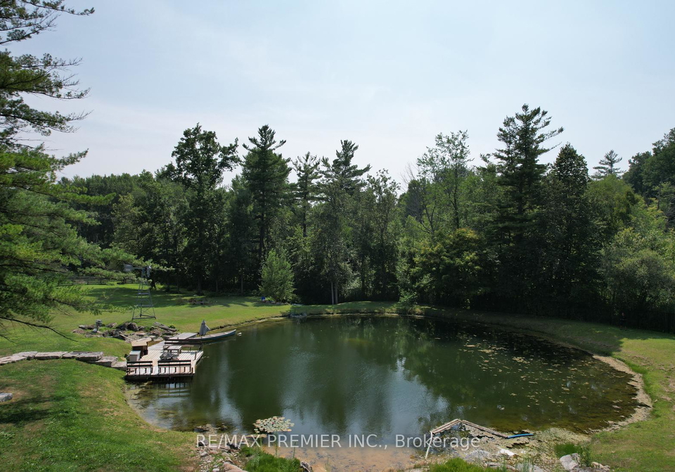 253-morning-side-road-east-gwillimbury-ontario-n12942508