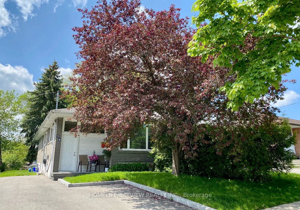 74-newbury-drive-newmarket-ontario-n12944376