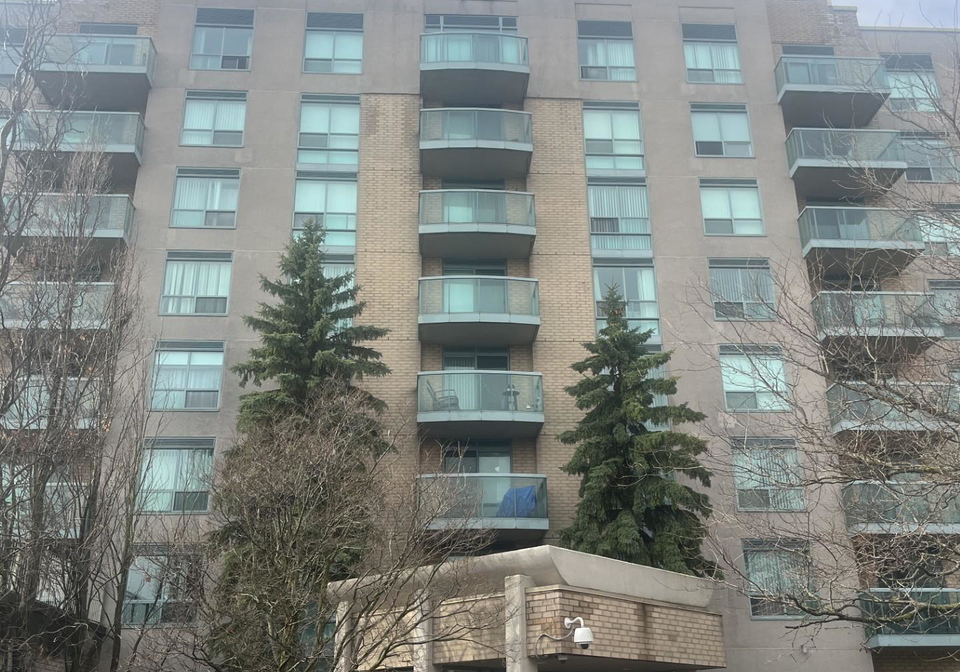 3-ellesmere-street-richmond-hill-ontario-n12948494
