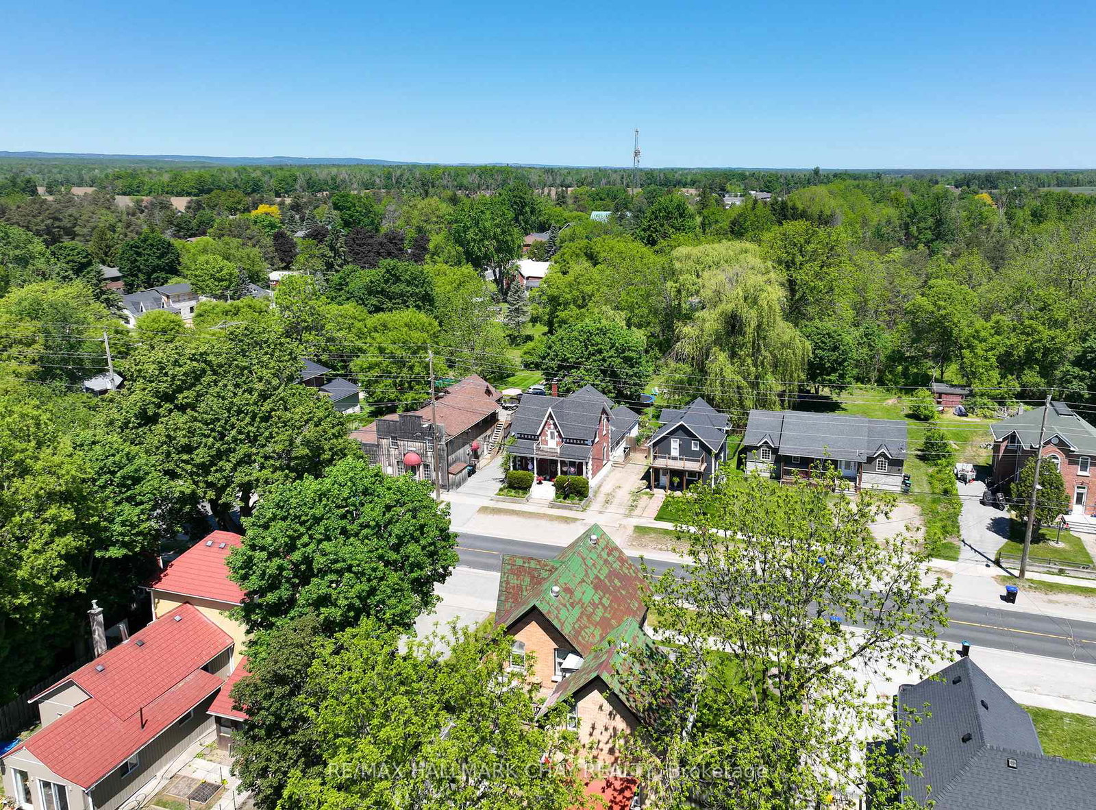 8116-main-street-adjala-tosorontio-ontario-n12971436