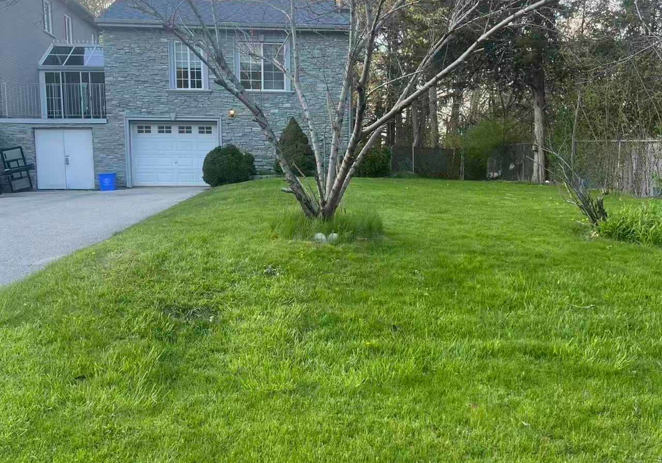 88-park-crescent-richmond-hill-ontario-n12974094