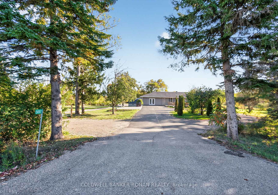 5697-2nd-line-new-tecumseth-ontario-n12976162
