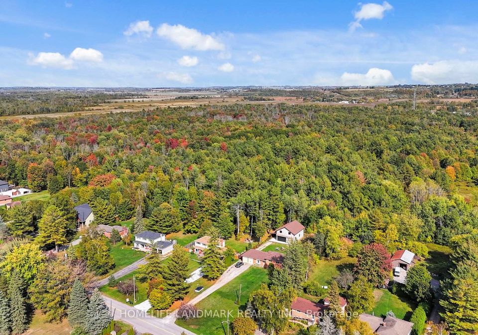 20573-yonge-street-east-gwillimbury-ontario-n12980782