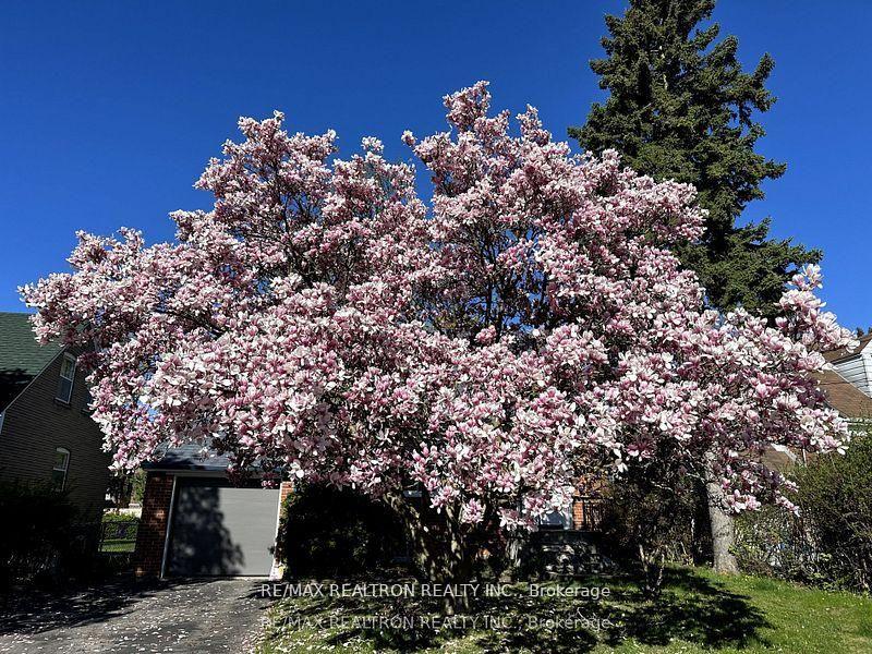 112-lawrence-avenue-richmond-hill-ontario-n12987432