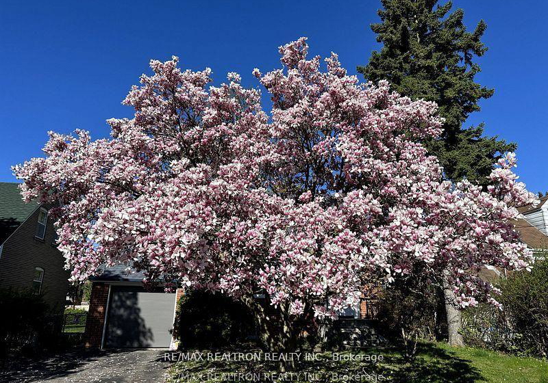 112-lawrence-avenue-richmond-hill-ontario-n12987432