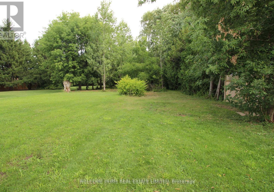 145-king-street-n-new-tecumseth-ontario-n12987668