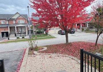 48-langhorst-crescent-richmond-hill-ontario-n12988180