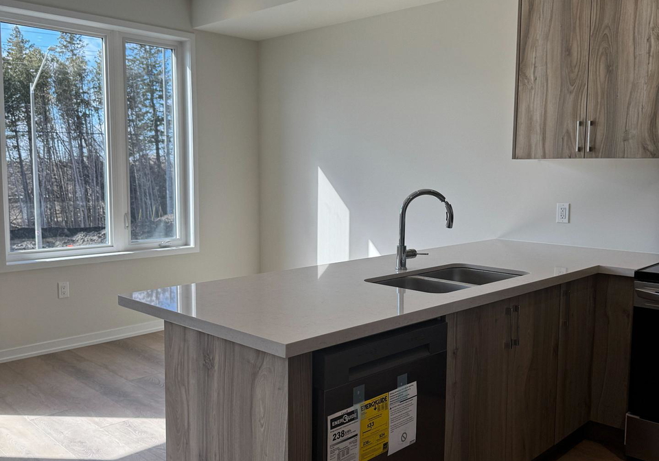 1400-19th-avenue-richmond-hill-ontario-n12988496
