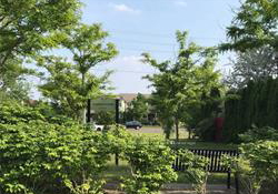 67-yale-lane-markham-ontario-n12990334