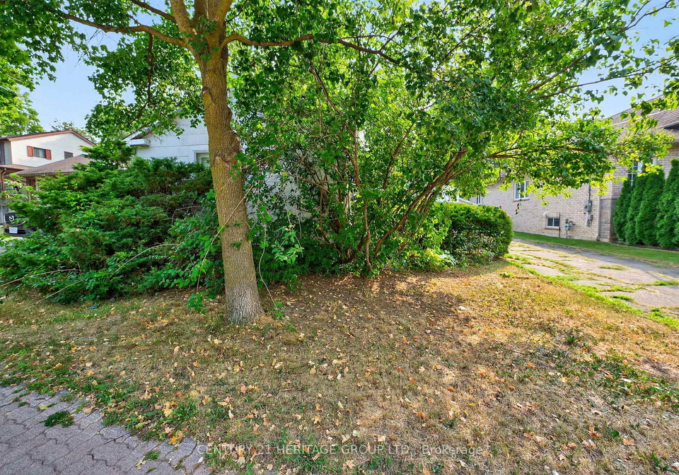 117-lucas-street-richmond-hill-ontario-n12991248