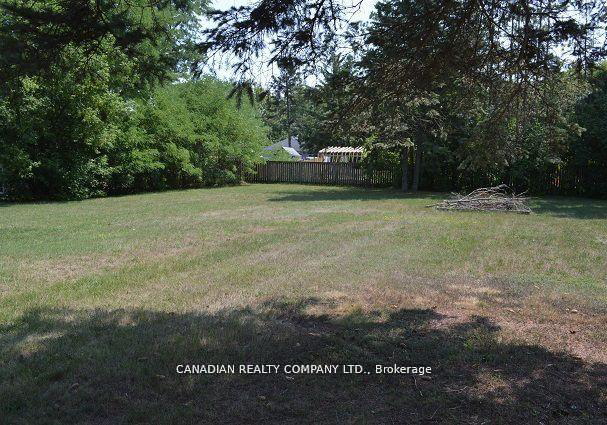 391-raines-street-georgina-ontario-n12998458