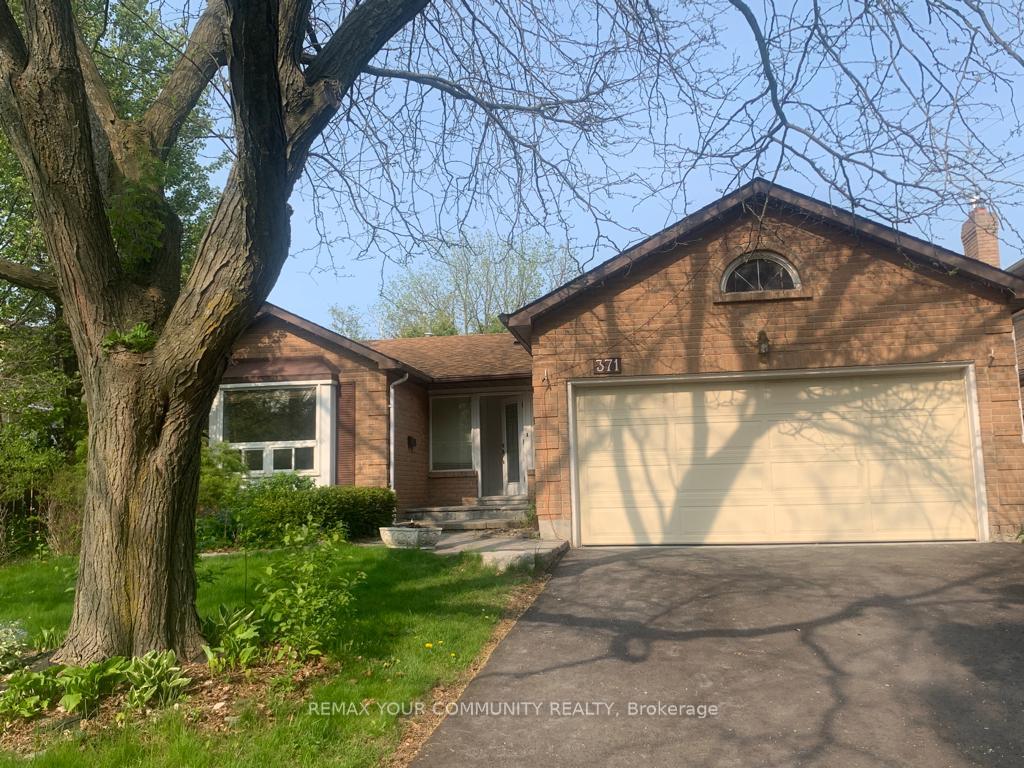 371-selby-crescent-newmarket-ontario-n13010510