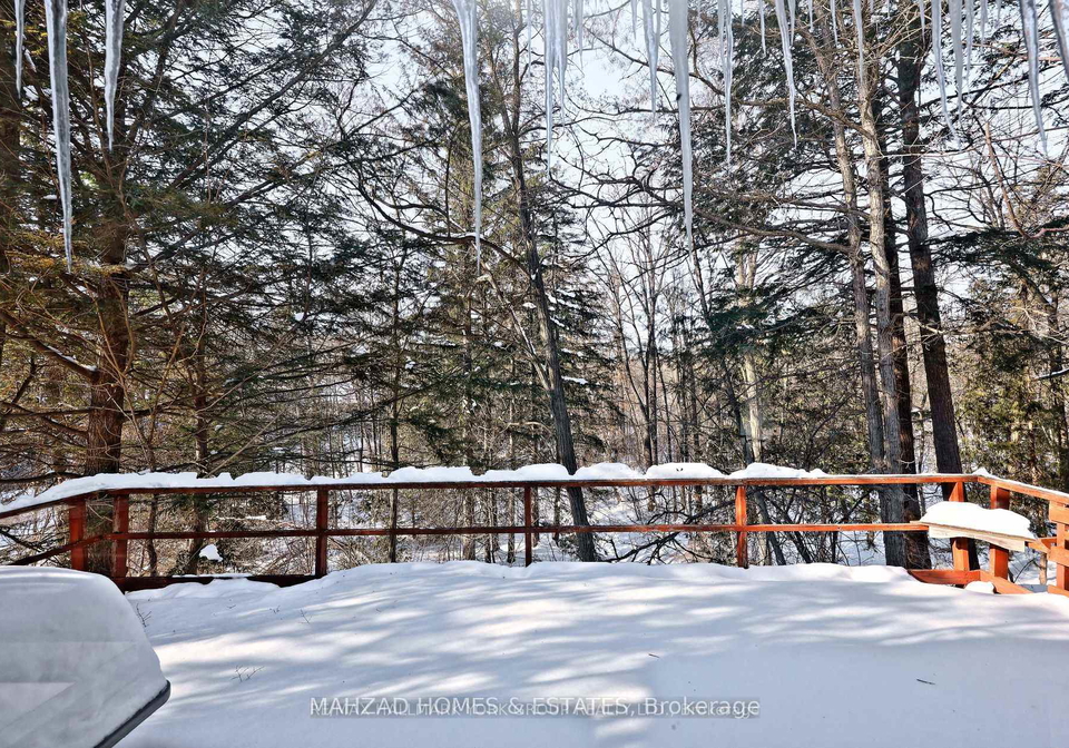 74-birch-avenue-richmond-hill-ontario-n13012594