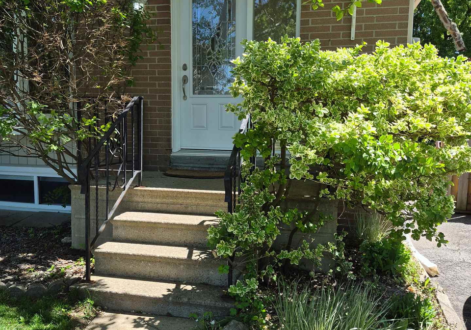 69-lindsay-avenue-newmarket-ontario-n13019774