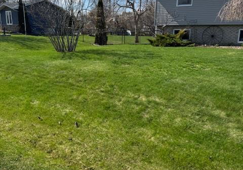 72-douglas-street-georgina-ontario-n13029700