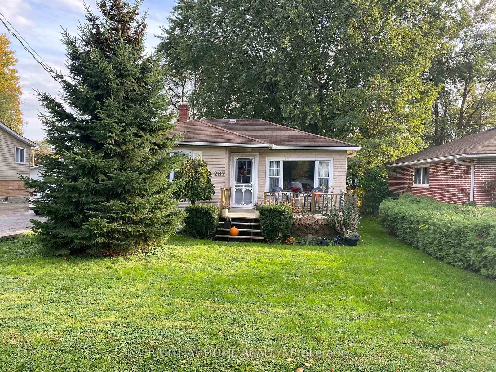 267-rayners-road-georgina-ontario-n13049464