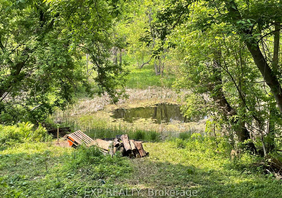 9254-county-1-adjala-tosorontio-ontario-n13056476