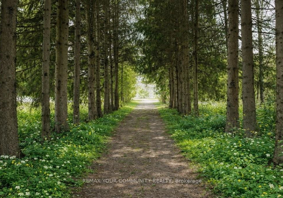 22772-weirs-side-road-georgina-ontario-n13067136