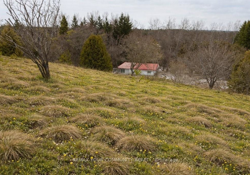 22772-weirs-side-road-georgina-ontario-n13067136