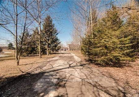 7180-17th-side-road-king-ontario-n13076018