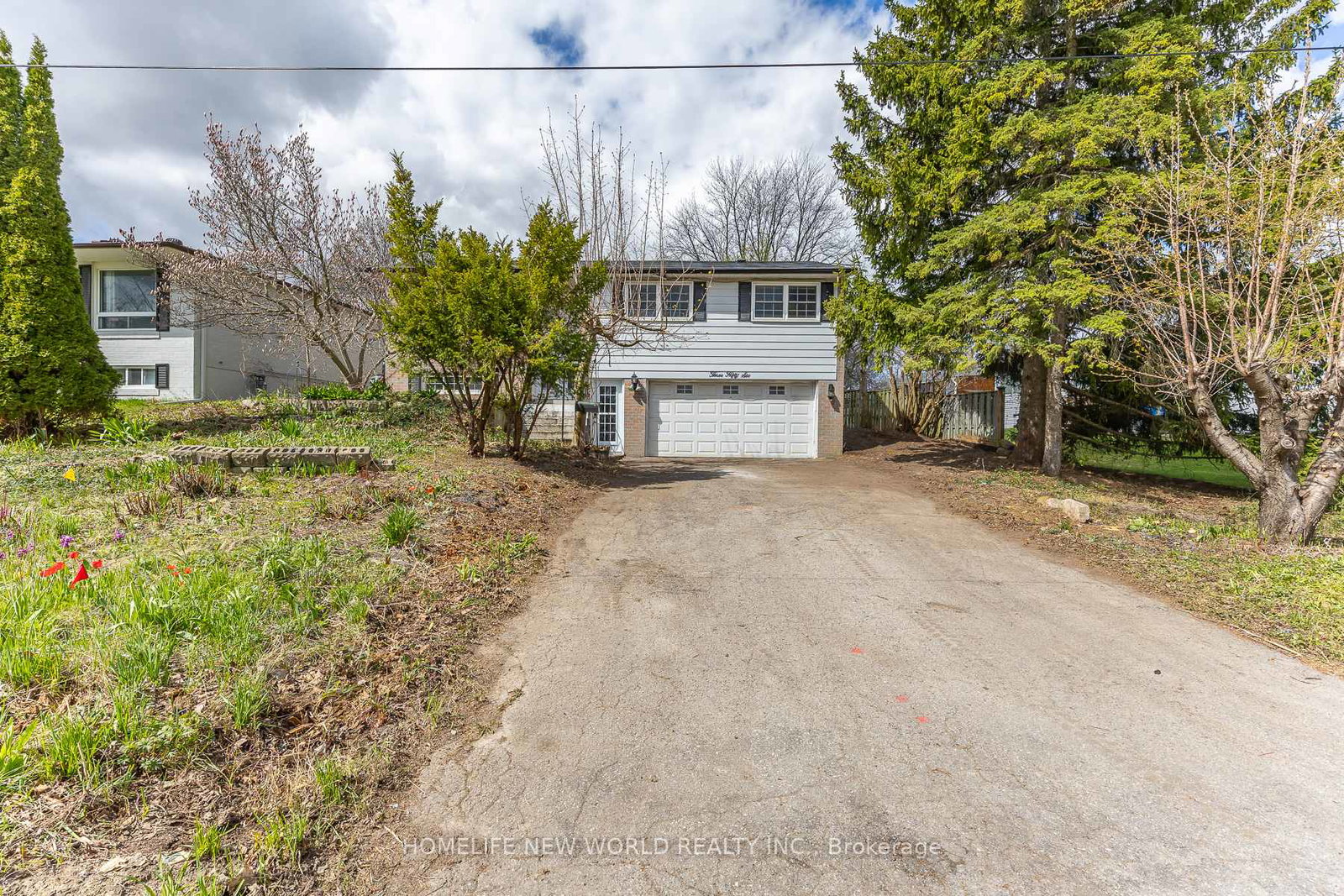 356-dixon-boulevard-newmarket-ontario-n13080130