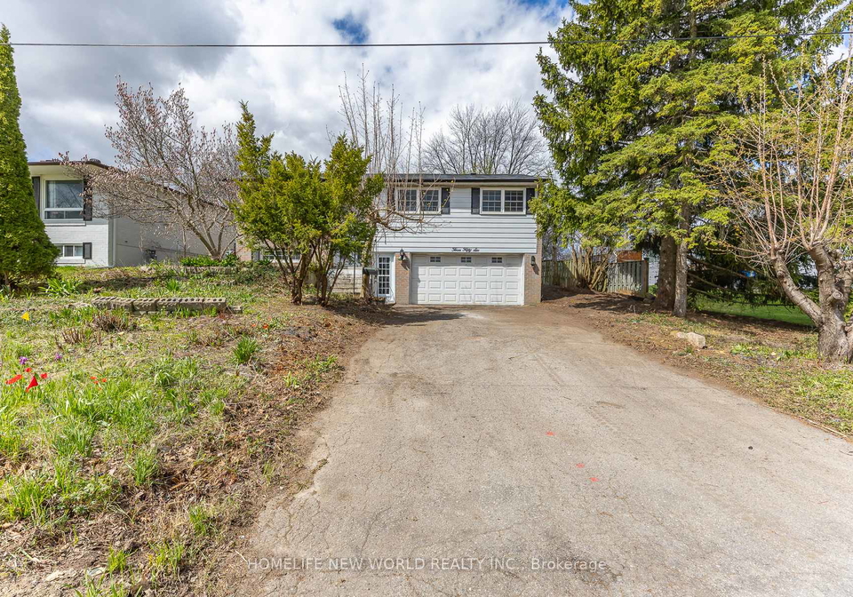 356-dixon-boulevard-newmarket-ontario-n13080130