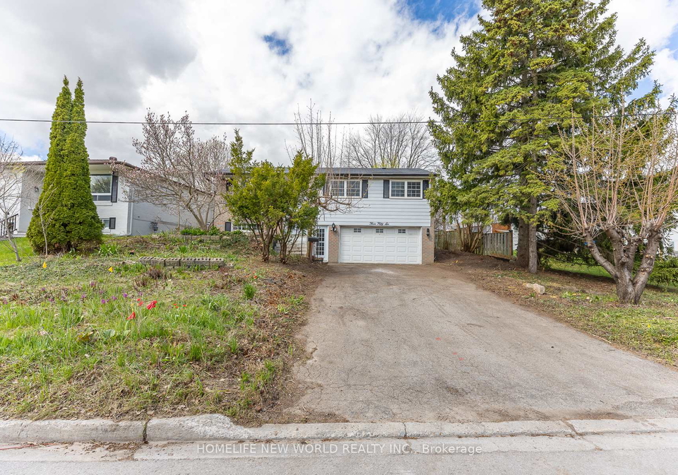 356-dixon-boulevard-newmarket-ontario-n13080130