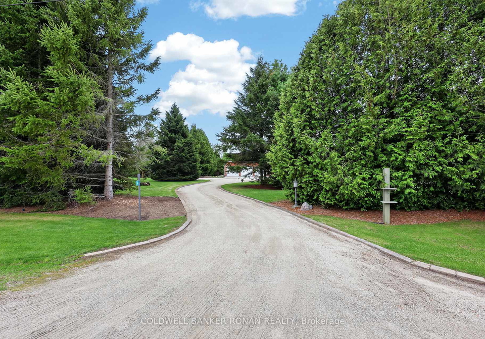 4-tioga-boulevard-adjala-tosorontio-ontario-n13082136