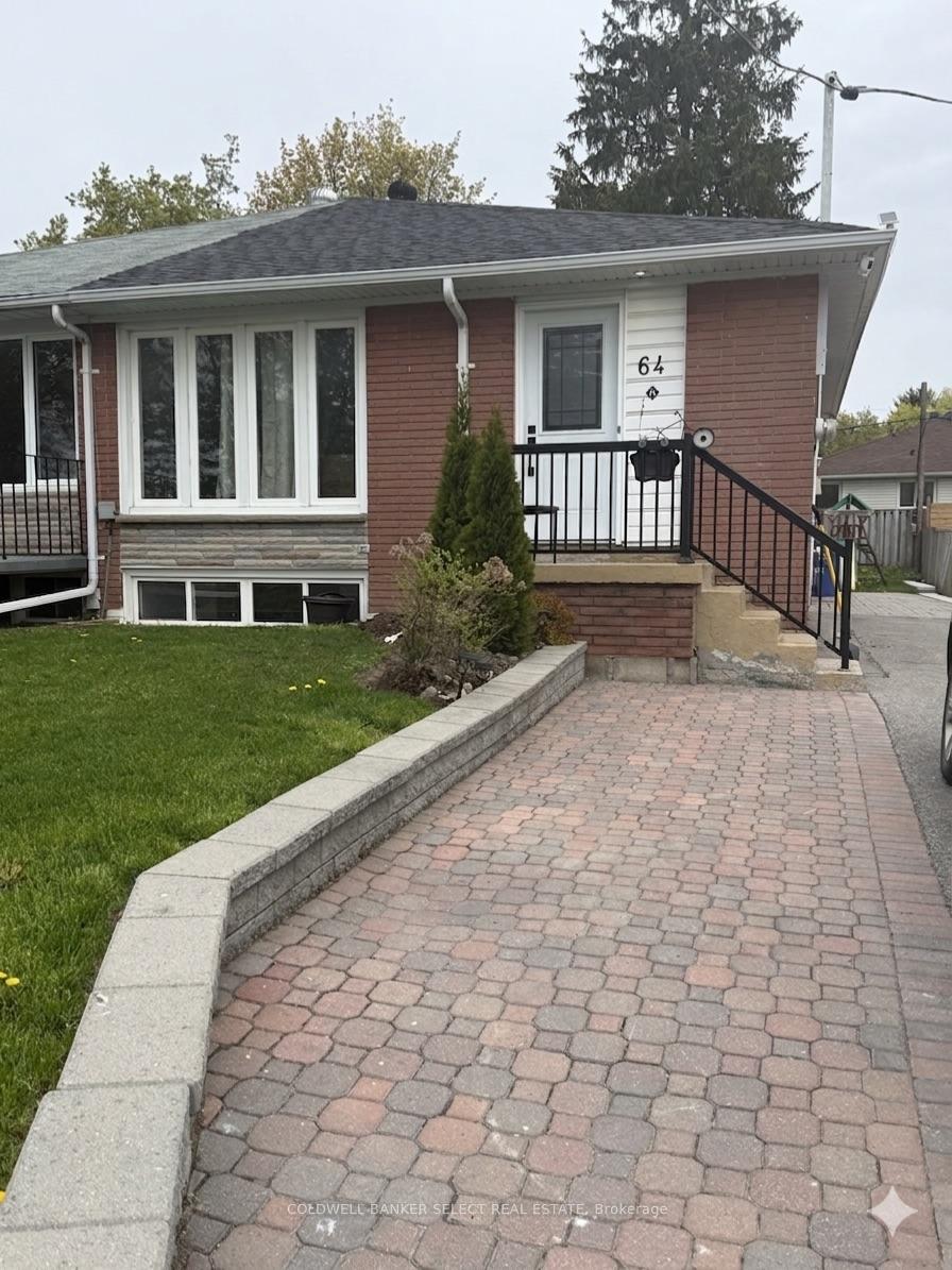 64-walter-avenue-newmarket-ontario-n13133982