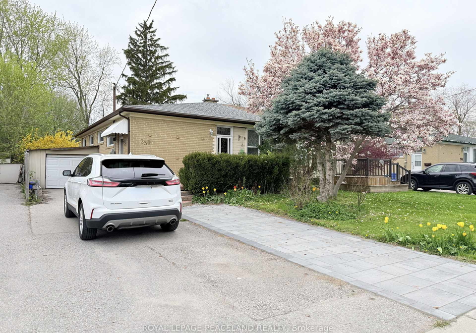 230-axminster-drive-richmond-hill-ontario-n13138494