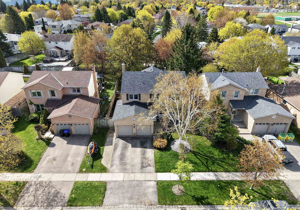 41-wolfe-avenue-new-tecumseth-ontario-n13144420