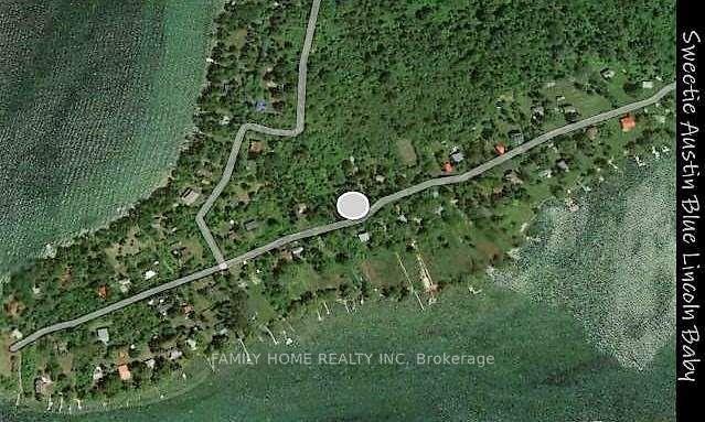 91-snake-island-road-georgina-islands-ontario-n13147084