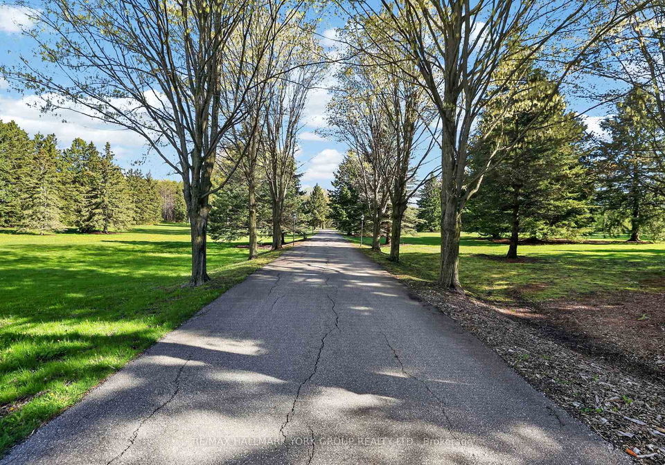 1020-18th-side-road-king-ontario-n13165654