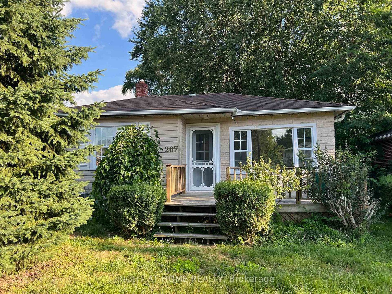 267-rayners-road-georgina-ontario-n13173632