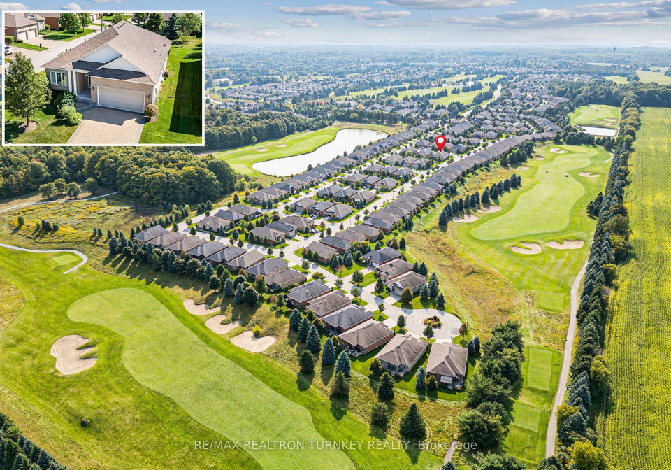 3-little-ben-whitchurch-stouffville-ontario-n13174506