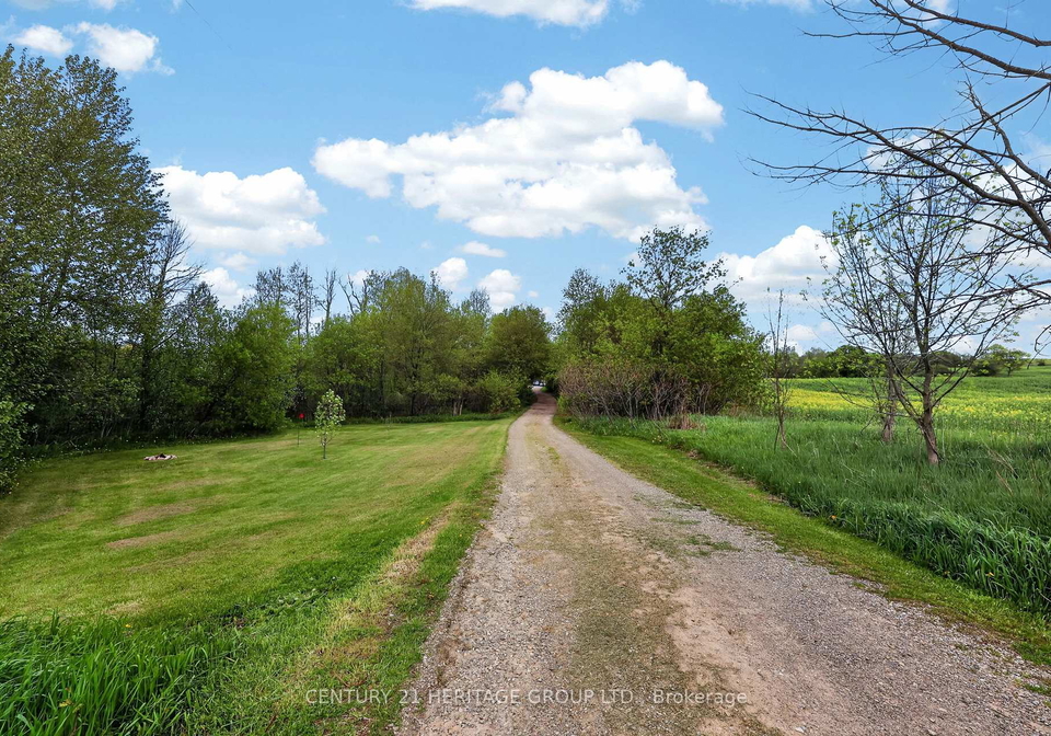 6675-scotch-line-essa-ontario-n13175378