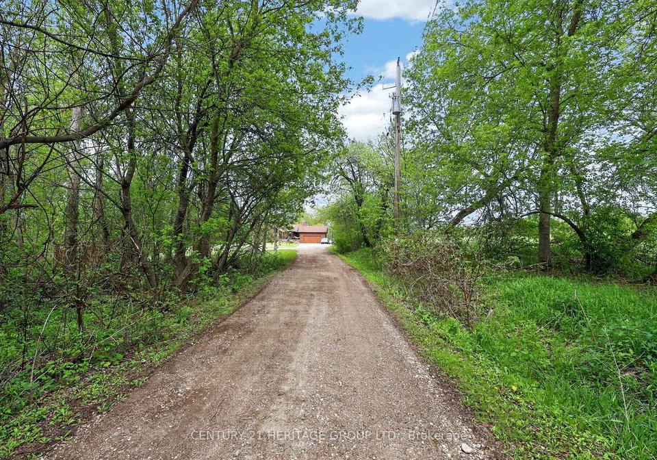 6675-scotch-line-essa-ontario-n13175378