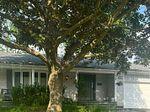 71-nisbet-drive-aurora-ontario-n13209750