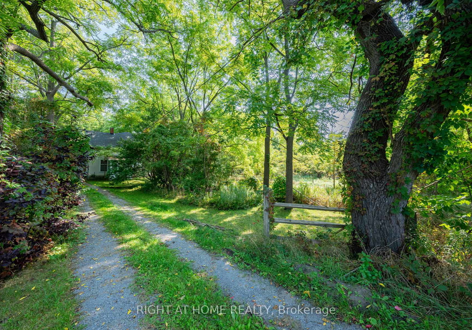 315-main-street-n-newmarket-ontario-n13229000